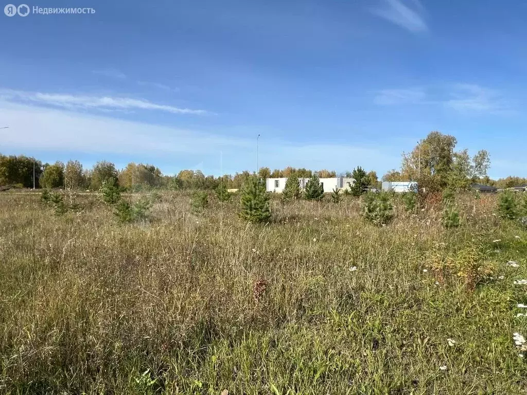 Участок в деревня Падерина, улица 95-летия Тюменского района (5 м) - Фото 1