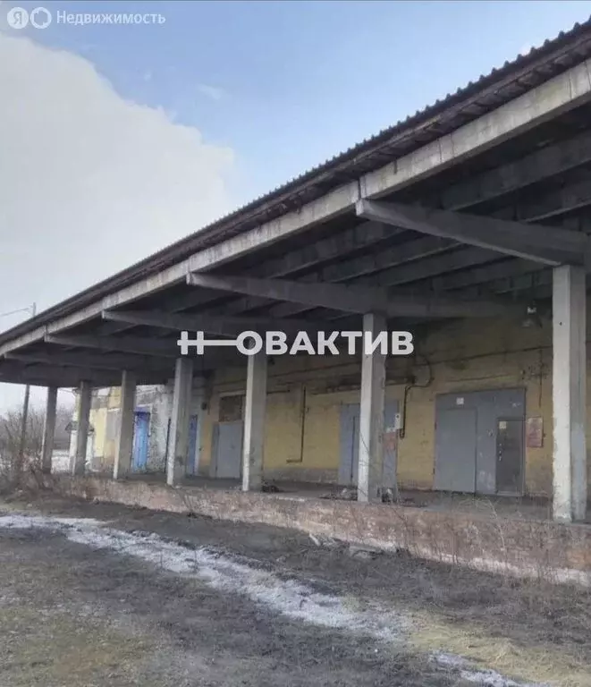 Помещение свободного назначения (1200 м) - Фото 1