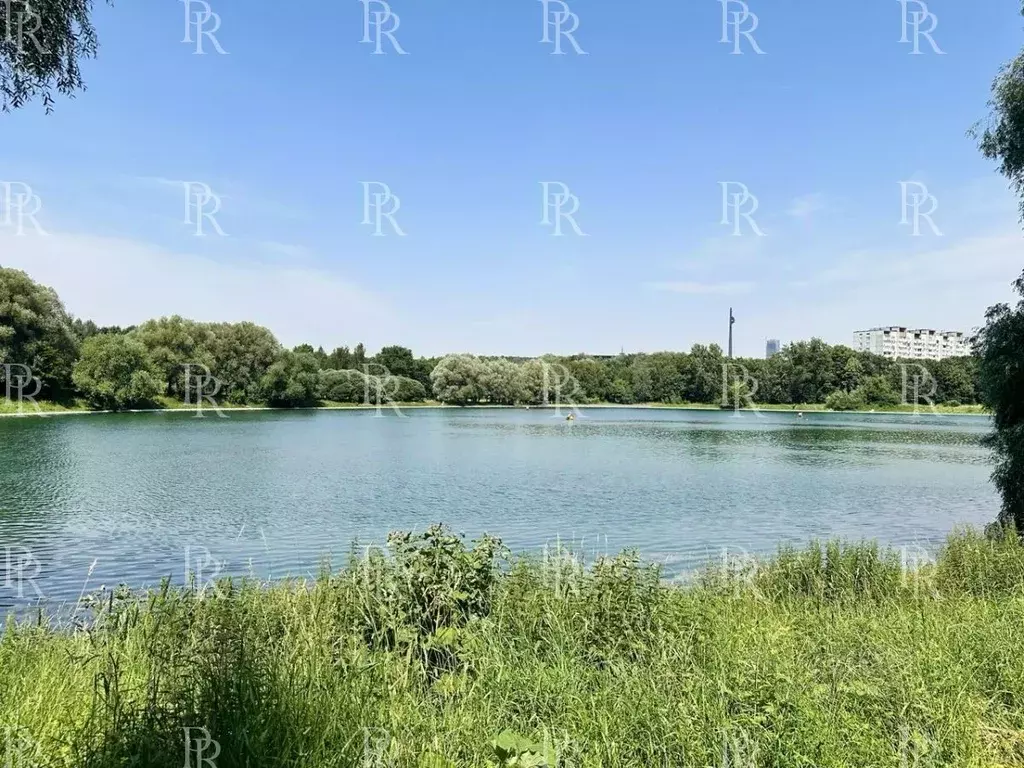 4-к кв. Москва Минская ул., 2Вк5 (223.0 м) - Фото 0