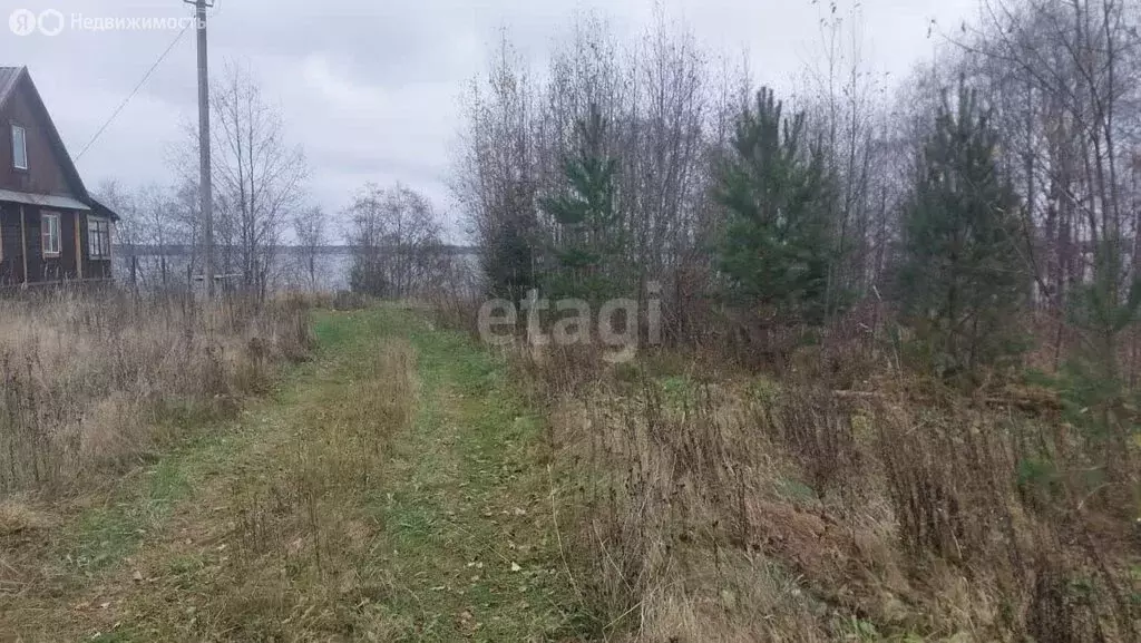 Участок в Вологодская область, Белозерский муниципальный округ, ... - Фото 0