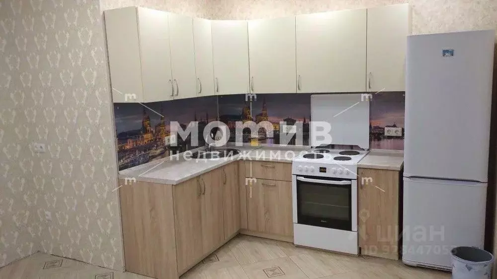 Студия Тюменская область, Тюмень ул. Новоселов, 115 (24.0 м) - Фото 2