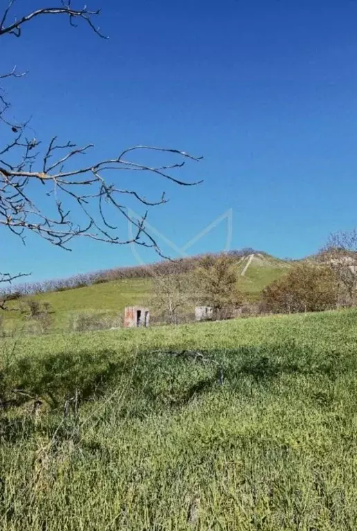 Участок в Ставропольский край, Пятигорск городской округ, пос. Свободы ... - Фото 1