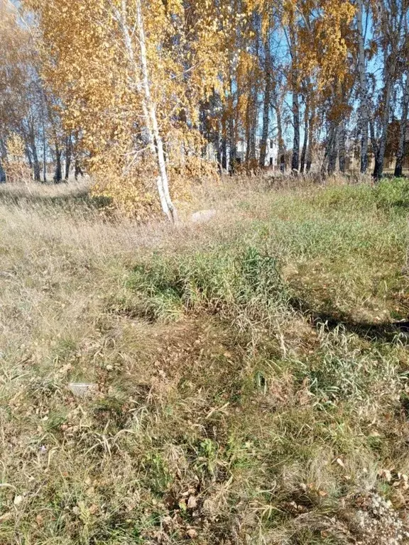 Участок в Омская область, Омский район, с. Усть-Заостровка  (5.0 сот.) - Фото 0