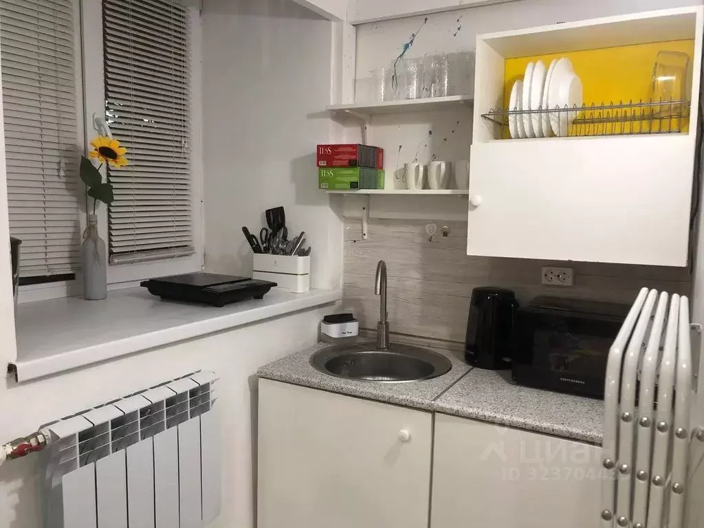 1-к кв. Санкт-Петербург наб. Реки Мойки, 60 (15.0 м) - Фото 2