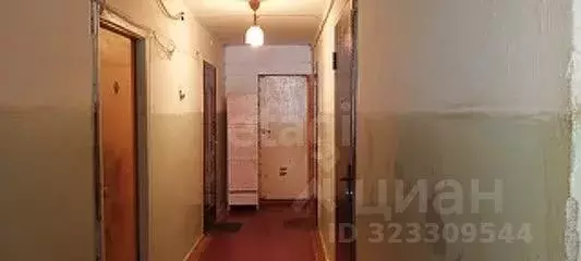 Комната Челябинская область, Южноуральск ул. Павлова, 43 (17.8 м) - Фото 1