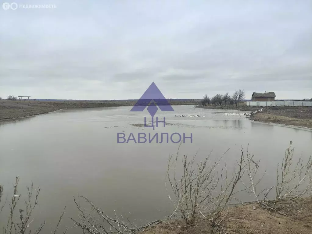 Помещение свободного назначения (64 м) - Фото 0