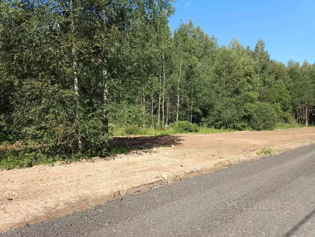 Участок, 11 сот., поселения (ижс) - Фото 2