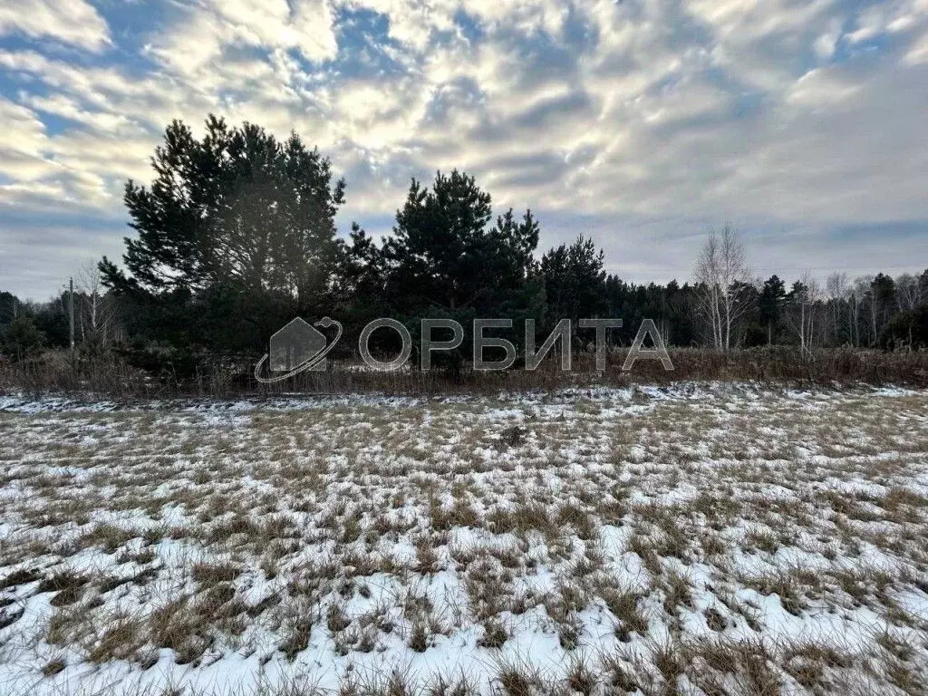 Участок в Тюменская область, Тюменский муниципальный округ, ... - Фото 1