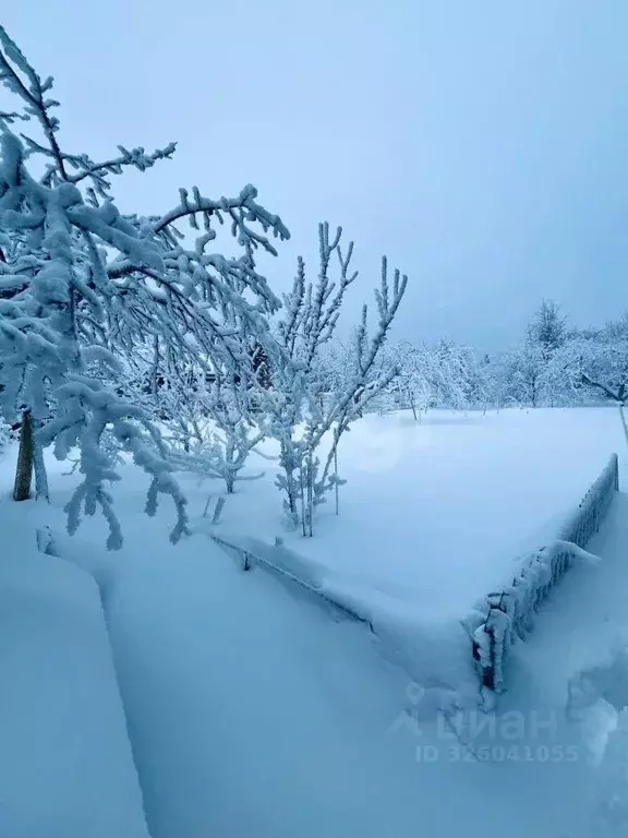 Участок в Владимирская область, Селивановский муниципальный округ, ... - Фото 2