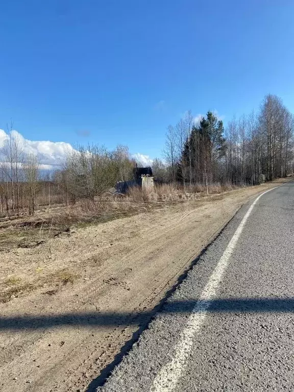 Участок 30 сот. (ИЖС) - Фото 1