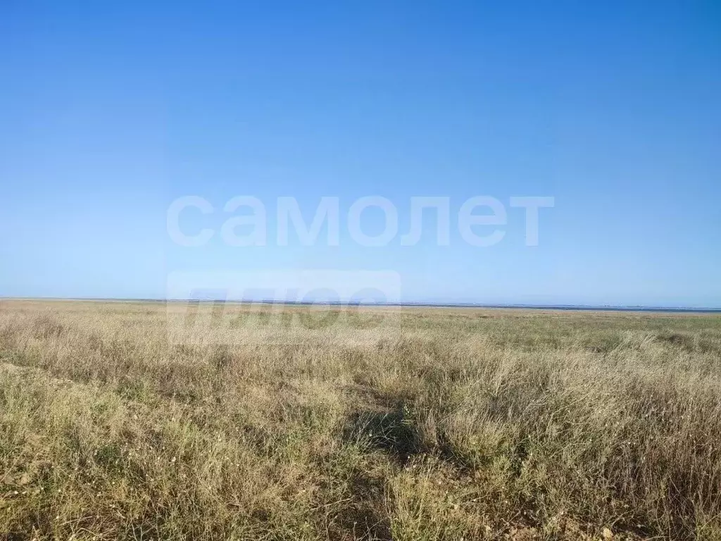 Участок в Крым, Феодосия муниципальный округ, с. Степное ул. Прудная, ... - Фото 1