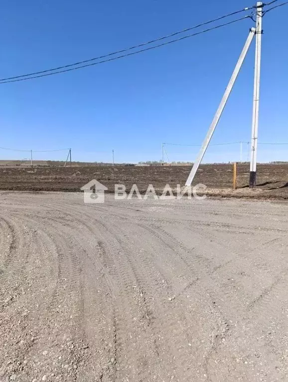 Участок в Иркутская область, Иркутский муниципальный округ, с. Урик  ... - Фото 2