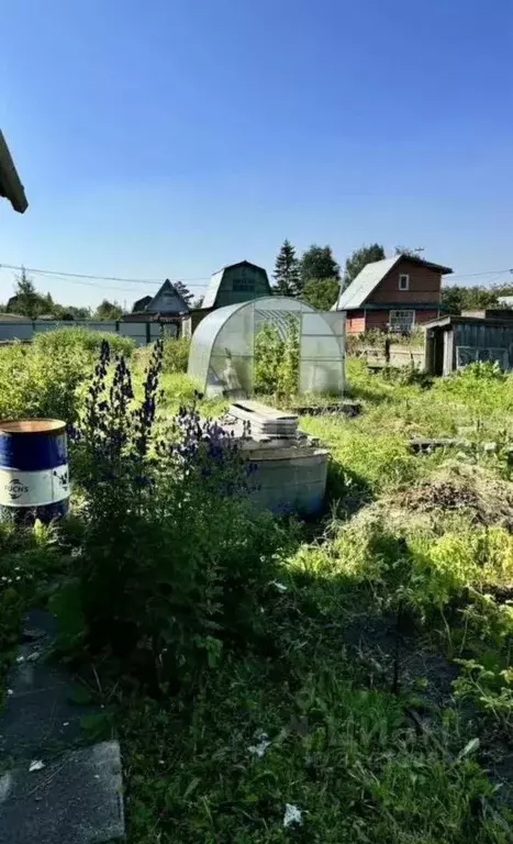 Дом в Вологодская область, Череповец Аммофос-1 садоводческое ... - Фото 0