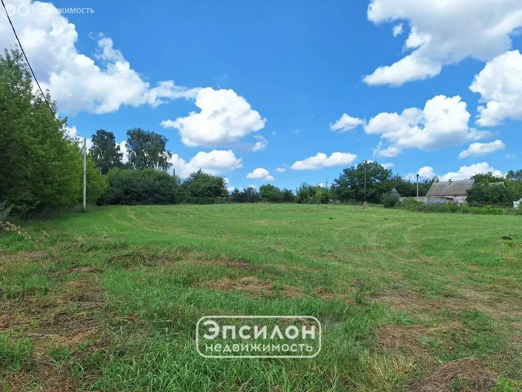 Участок в Курский район, Лебяженский сельсовет, хутор Мурыновка, 19 ... - Фото 0