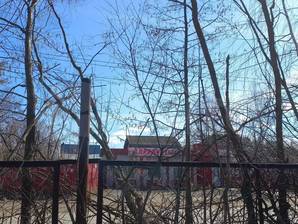 Дача 56 м на участке 4 сот. - Фото 1