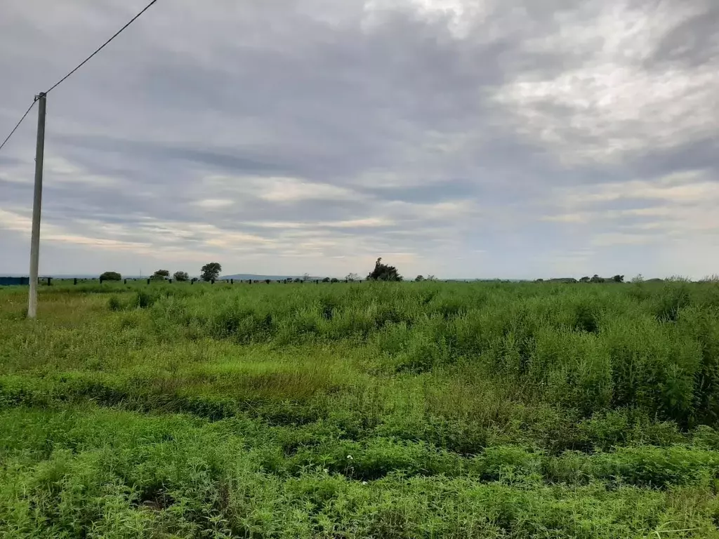 Участок в Приморский край, Уссурийский городской округ, с. Воздвиженка ... - Фото 2