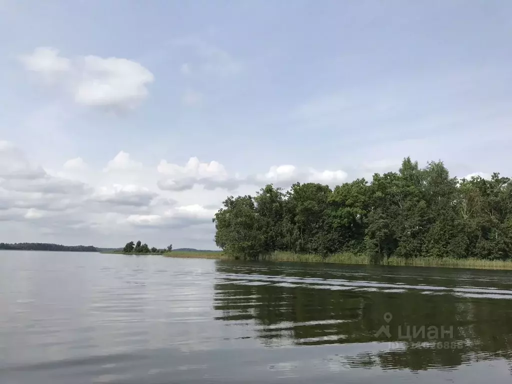 Участок в Псковская область, Невельский муниципальный округ, д. Фенево ... - Фото 1