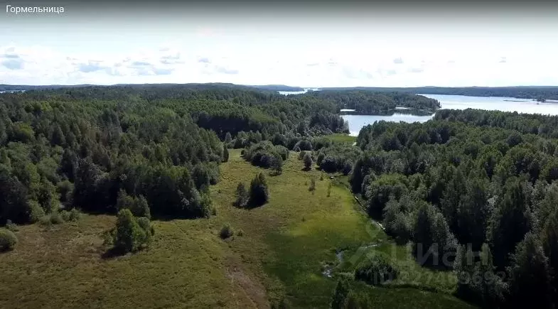 Участок в Карелия, Медвежьегорский муниципальный округ  (7.8 сот.) - Фото 1