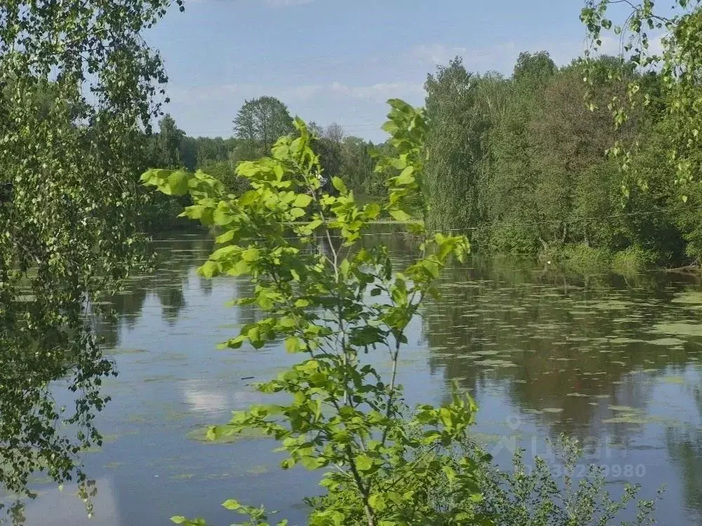 Участок в Московская область, Чехов муниципальный округ, д. Мерлеево ... - Фото 1