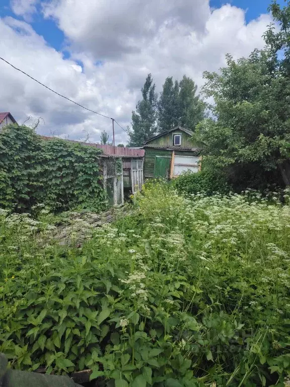 Участок в Тверская область, Торжок ГЖУ-3 СНТ,  (5.0 сот.) - Фото 2