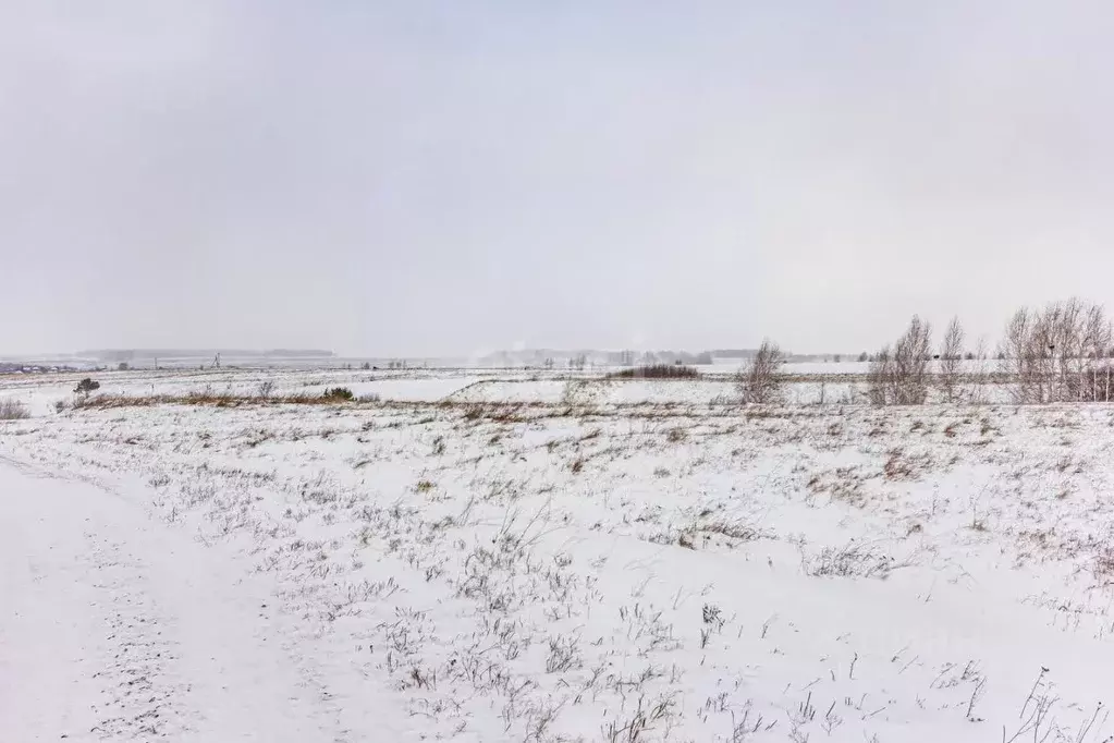 Участок в Новосибирская область, Искитим  (1990.0 сот.) - Фото 1