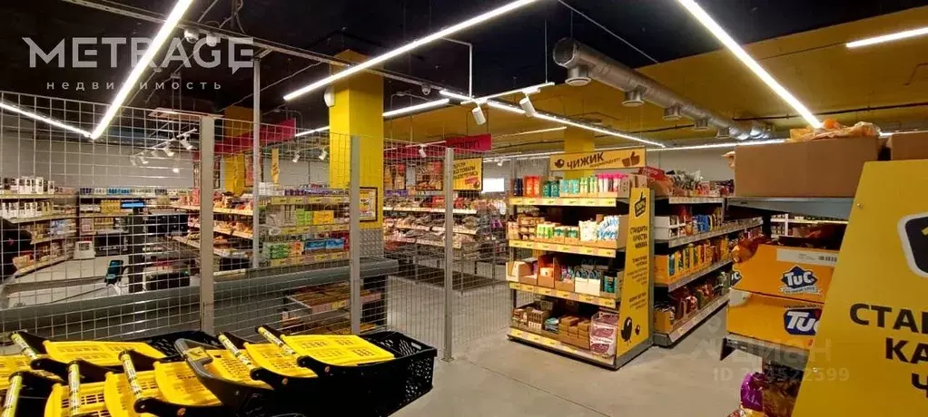 Торговая площадь в Новосибирская область, Новосибирск Пашино мкр, ул. ... - Фото 2