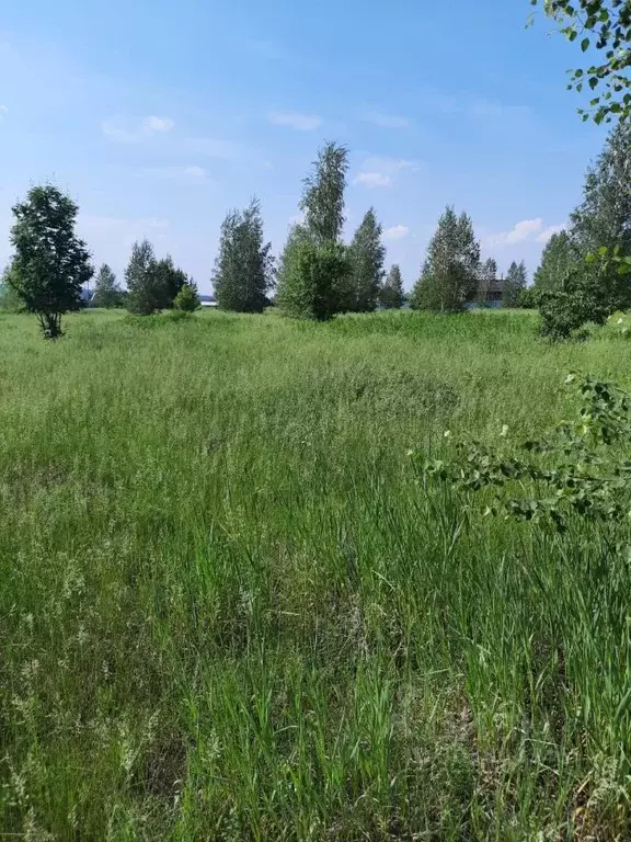Участок в Свердловская область, Белоярский пгт ул. Чапаева (15.0 сот.) - Фото 0