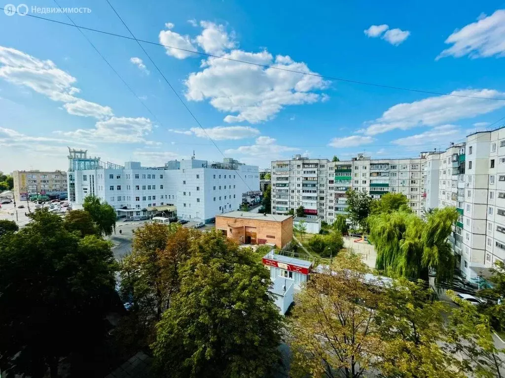 3-комнатная квартира: Курск, Хуторская улица, 1 (59.5 м) - Фото 0