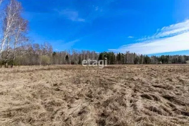 Участок в Тюменская область, Нижнетавдинский район, д. Красный Яр  ... - Фото 0