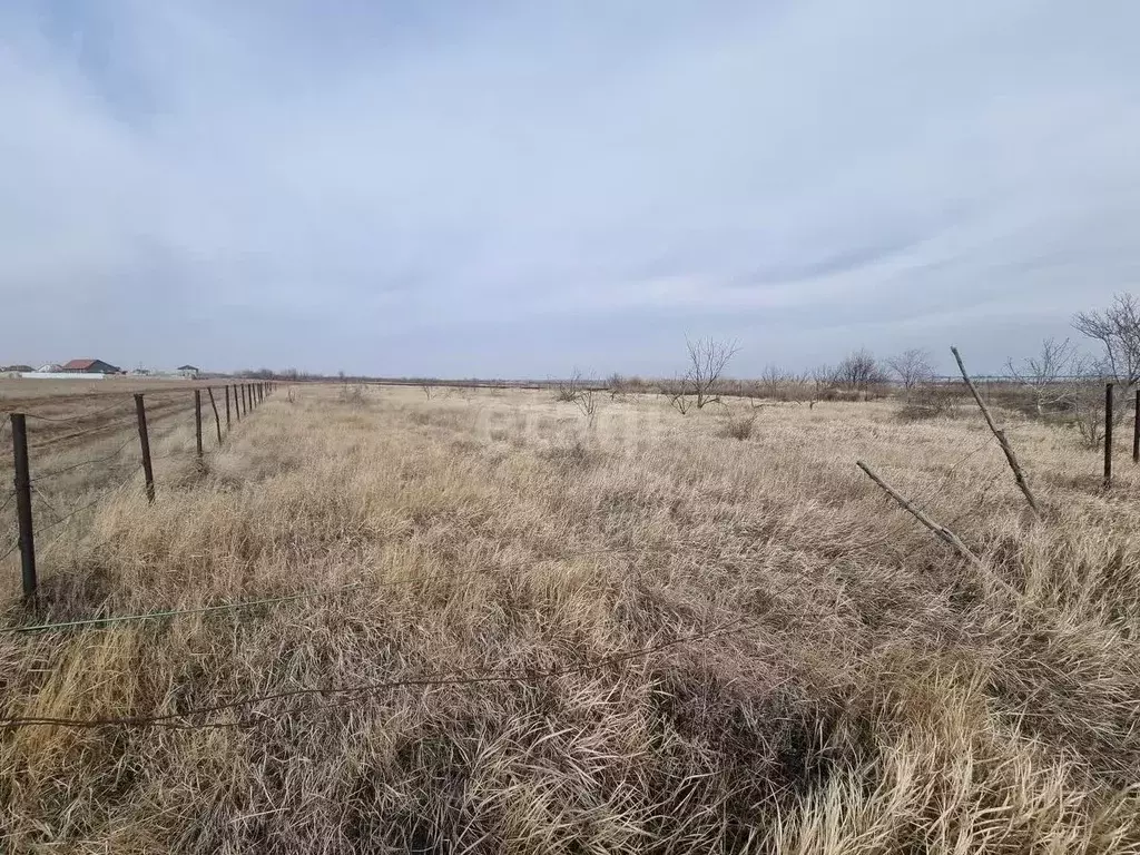 Участок в Волгоградская область, Дубовка ул. Имени Шолохова (6.7 сот.) - Фото 1