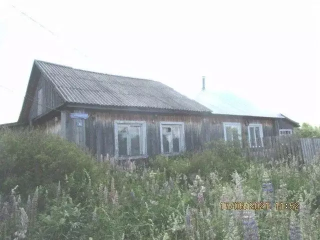 Помещение свободного назначения в Пермский край, Добрянский ... - Фото 1