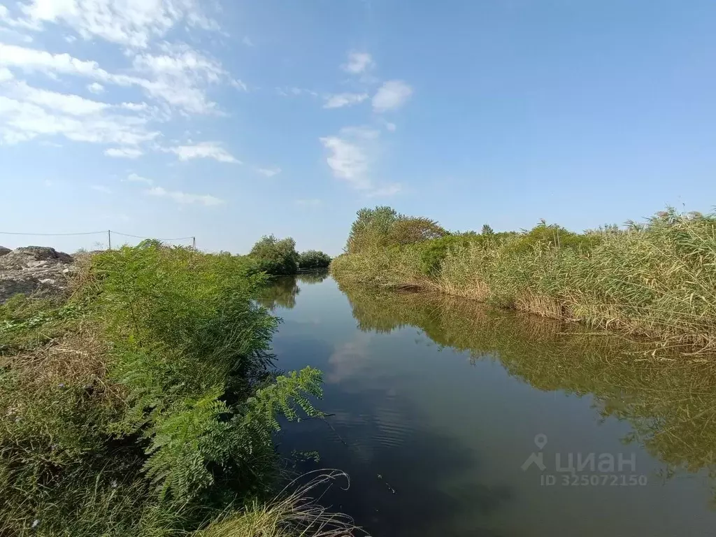 Участок в Ростовская область, Азовский район, Елизаветинское с/пос, ... - Фото 1
