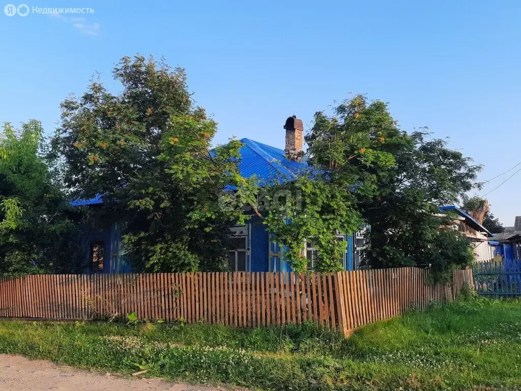 Дом в село Петрокаменское, улица Дарвина, 17 (25 м) - Фото 0