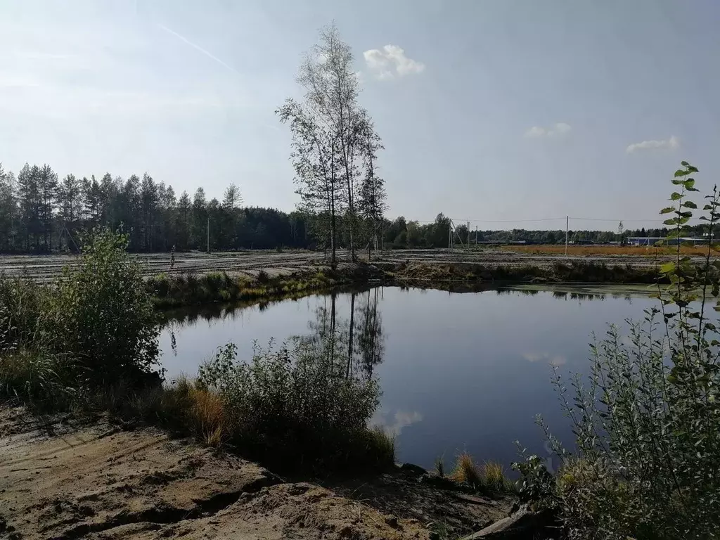 Участок в Курганская область, Кетовский муниципальный округ, с. ... - Фото 1