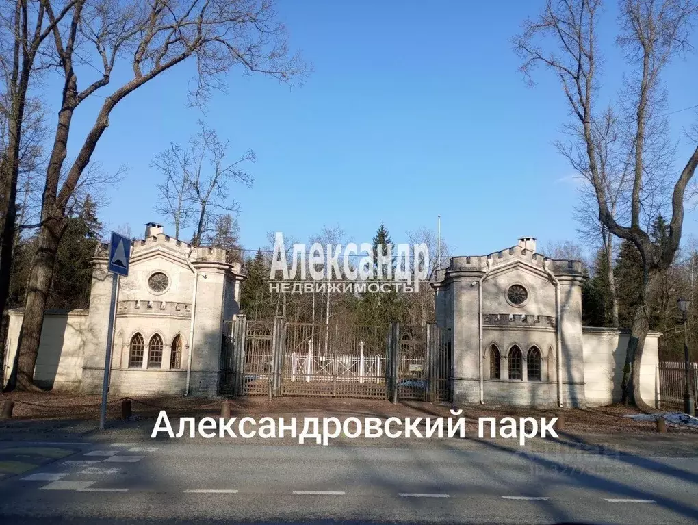 Участок в Санкт-Петербург пос. Александровская, ш. Волхонское, 55 ... - Фото 1