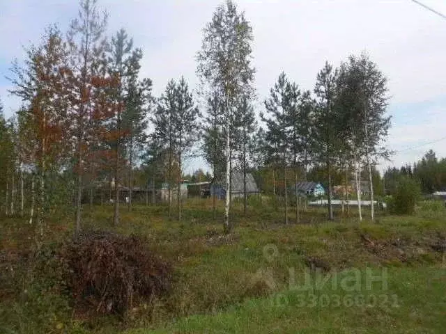 Участок в Коми, Сыктывкар городской округ, пос. Верхний Мыртыю ул. ... - Фото 2
