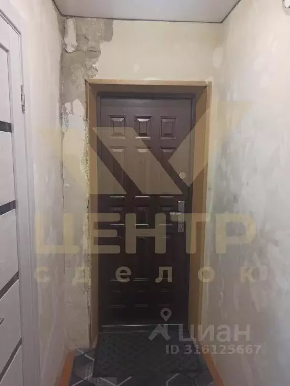 2-к кв. Алтайский край, Рубцовск Комсомольская ул., 80 (45.0 м) - Фото 1