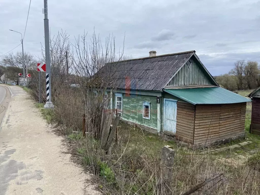 Дом в Московская область, Серпухов городской округ, с. Турово ул. ... - Фото 1