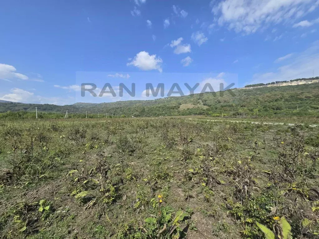 Участок в Адыгея, Майкопский район, Даховская ст-ца Советская ул., 20 ... - Фото 2