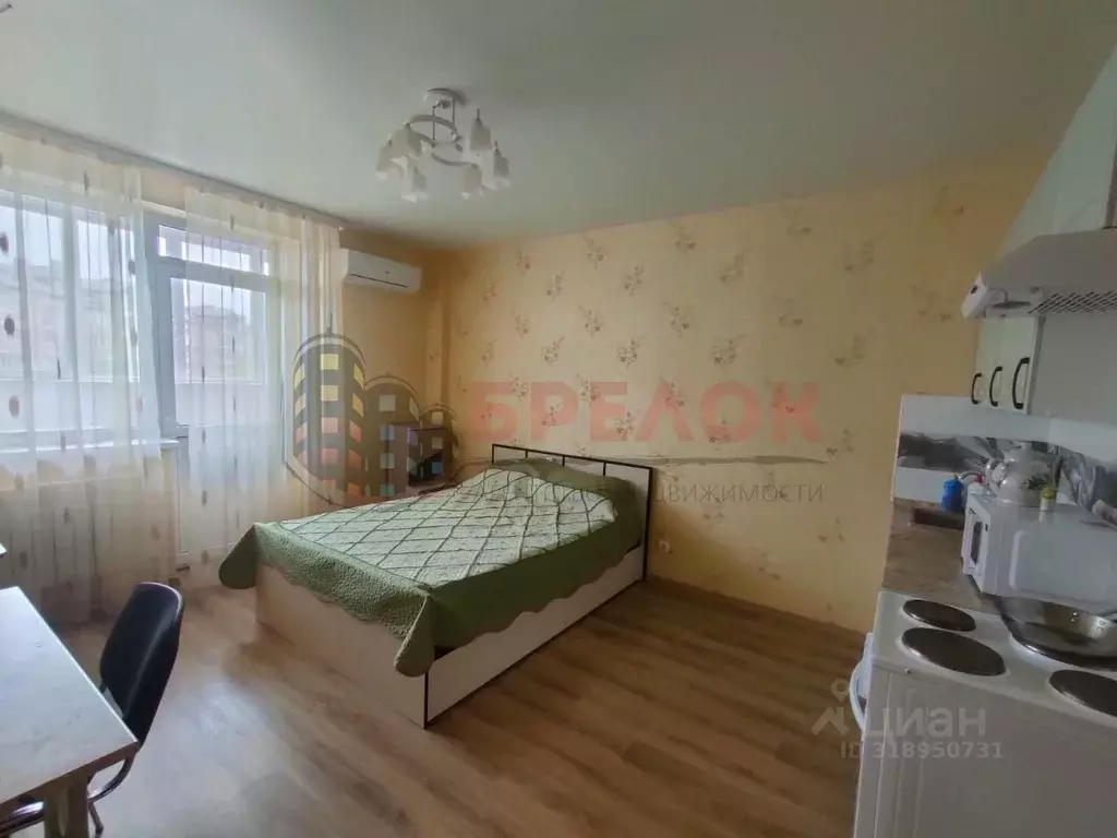 Студия Ростовская область, Ростов-на-Дону пер. Салютина, 2Б (29.3 м) - Фото 0