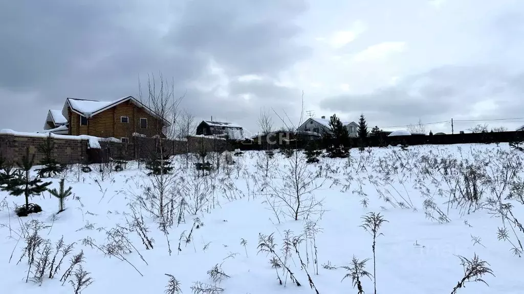 Участок в Московская область, Щелково городской округ, д. Вторая ... - Фото 2
