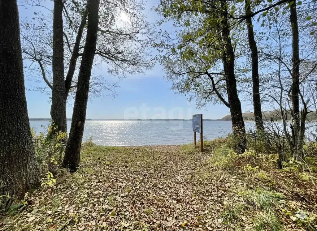 Участок в Псковская область, Себежское с/пос, д. Осыно  (330.0 сот.) - Фото 1