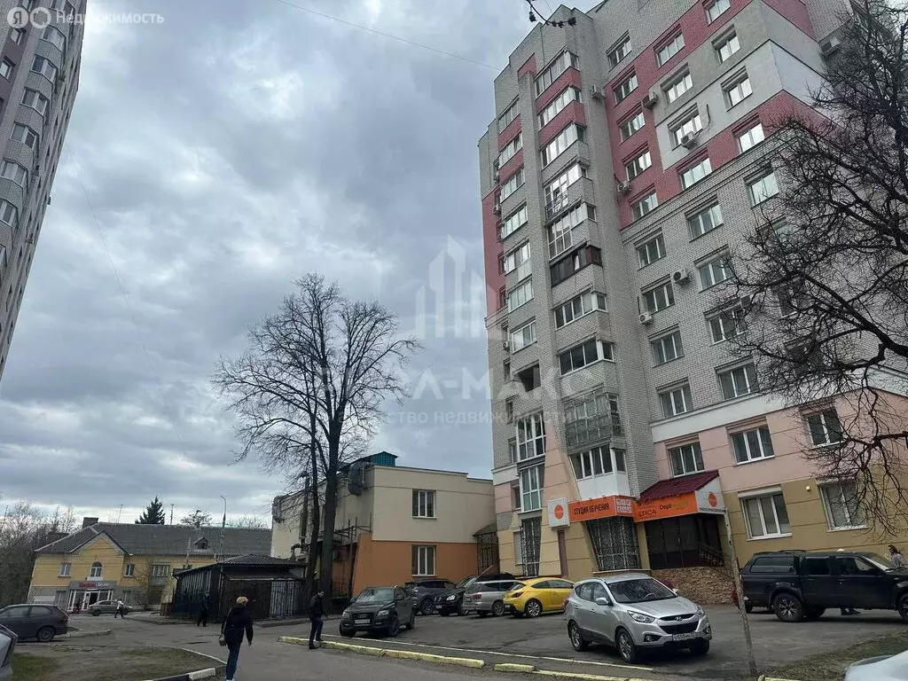 Офис (20 м) - Фото 2