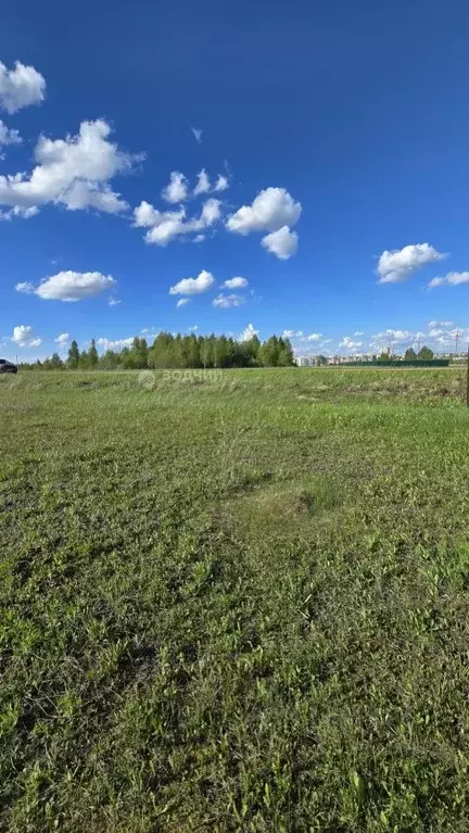 Участок в Чувашия, Чебоксарский муниципальный округ, Синьяльское с/пос ... - Фото 2