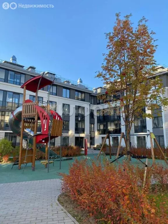 Квартира-студия: Стрельна, проспект Будённого, 20к1 (23.96 м) - Фото 1