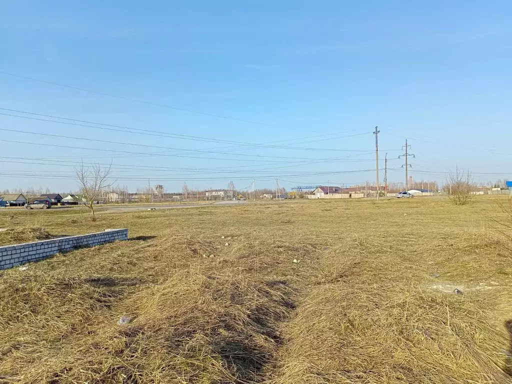 Участок в Брянская область, Брянск Большое Полпино пгт, Центральная ... - Фото 2