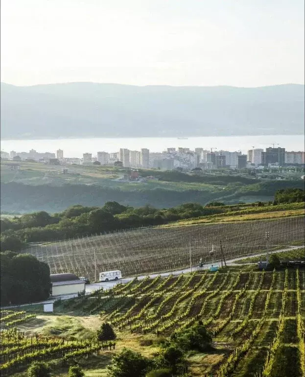 Участок в Краснодарский край, Новороссийск (6.3 м) - Фото 2