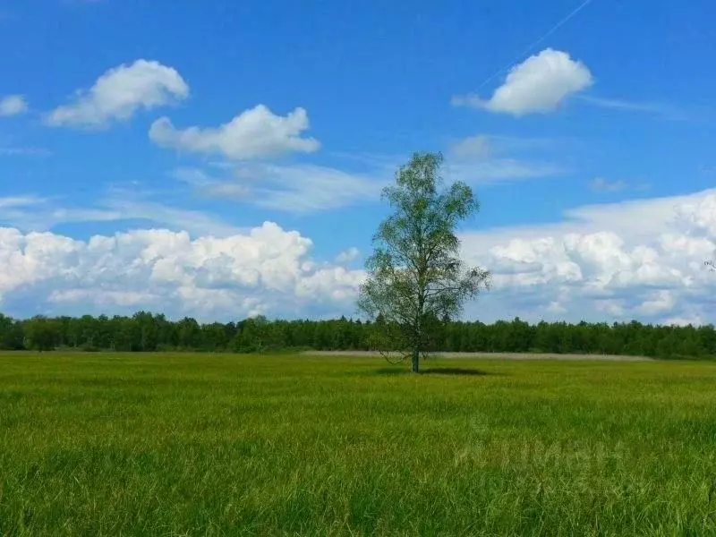 Участок в Московская область, Одинцовский городской округ, с. Дубки, ... - Фото 1