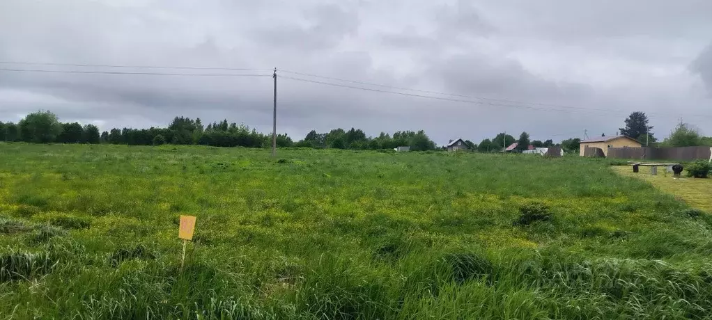 Участок в Вологодская область, Череповецкий район, д. Васильевское ... - Фото 2
