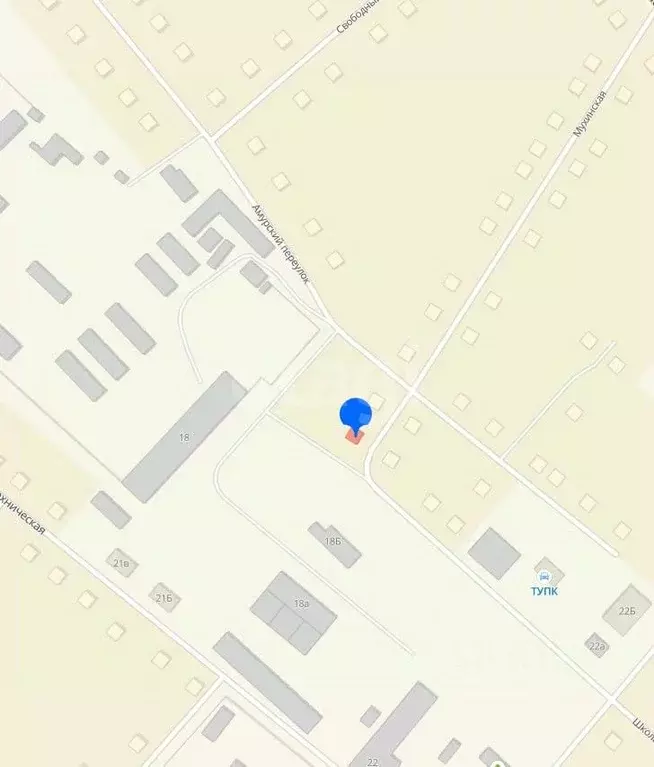 Дом в Амурская область, с. Тамбовка ул. Мухинская, 35 (68 м) - Фото 1